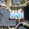 Aventon Soraya Resort-Style Pool