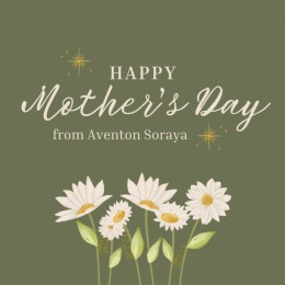 Happy Mother's Day from Aventon Soraya Instagram post from @aventonsoraya on May 12, 2024 09:02:19am